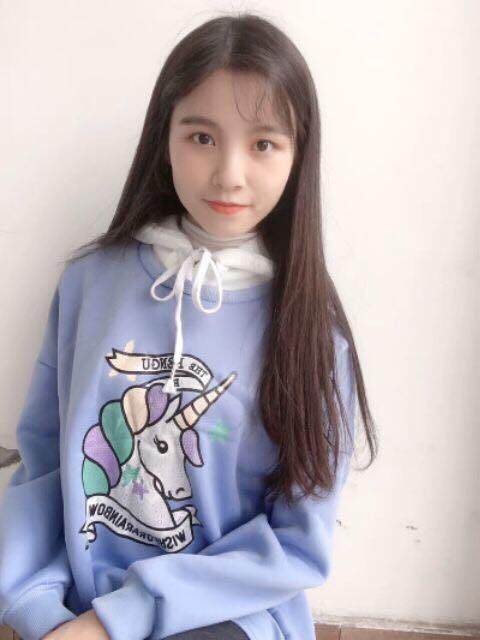 ÁO HOODIE NGỰA